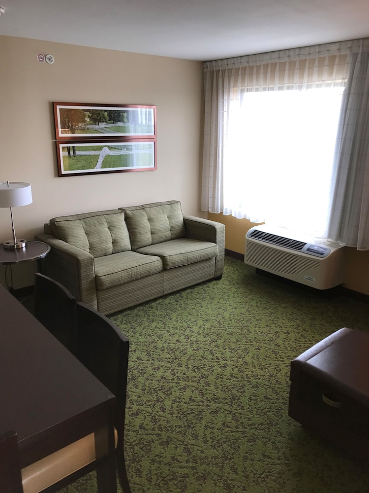 TownePlace Suites by Marriott Lexington South Hamburg Place - photo 15
