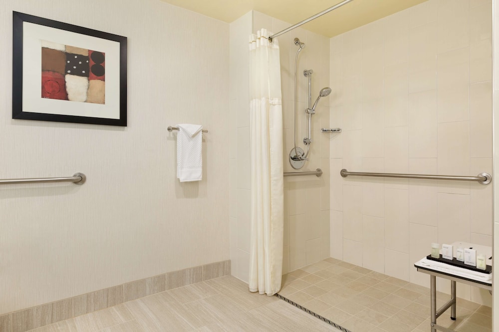 Embassy Suites by Hilton Chicago North Shore Deerfield - photo 35