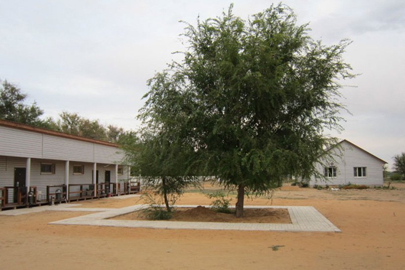 Rybalka Laif Hotel - last minute hotel in Unknown City