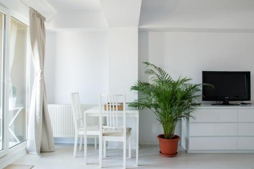 Airport Residence 5 Mins from Airport — Otopeni — photo 4