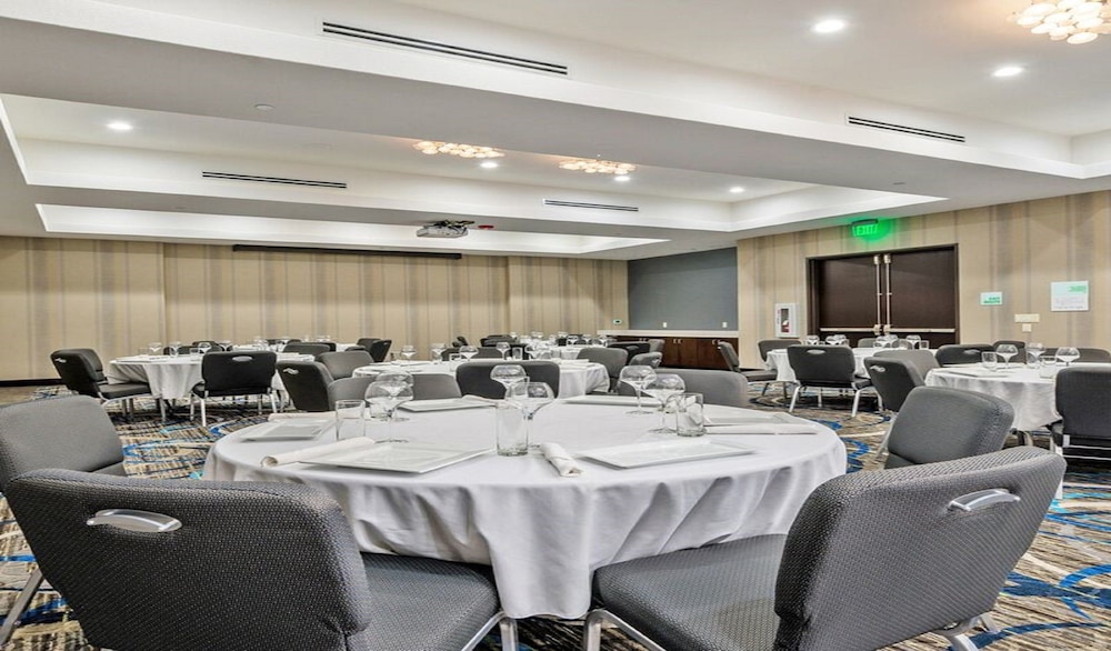 Holiday Inn Austin Airport by IHG - photo 44