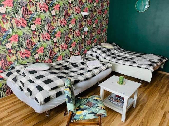 Apartament pod Złotą Małpą — Glucholazy — photo 4