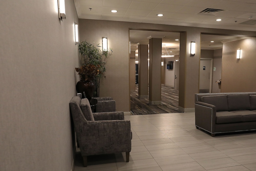 Holiday Inn Chicago O'Hare Area by IHG - photo 60