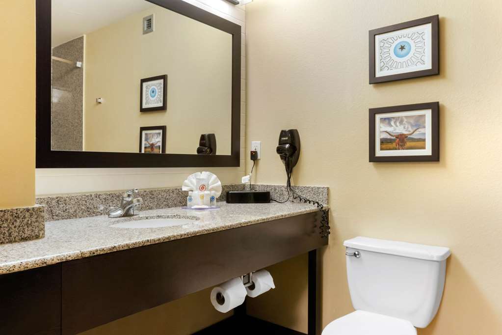 Comfort Inn & Suites Amarillo East - photo 9