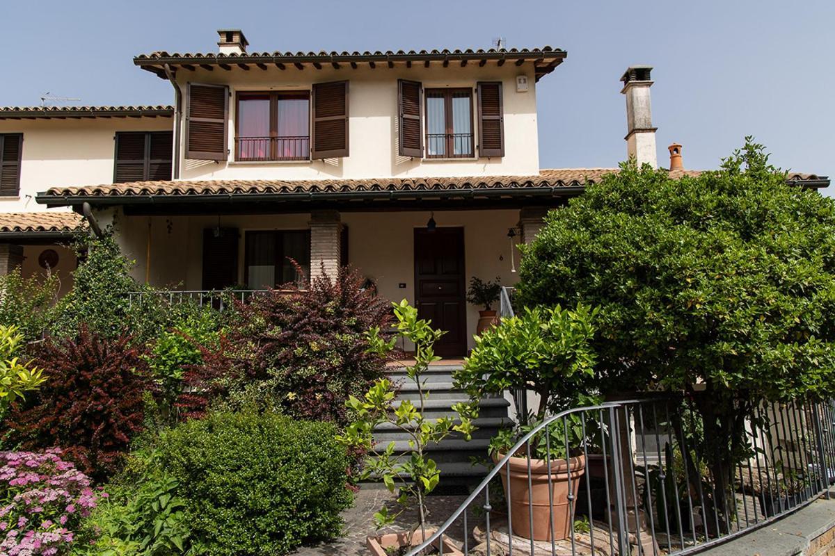 La Terrazza di Otto pet-friendly hotel Sferracavallo