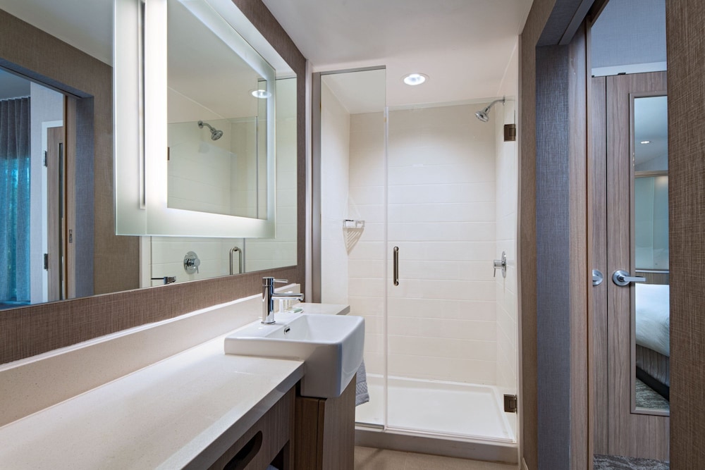 SpringHill Suites by Marriott Austin North - photo 13