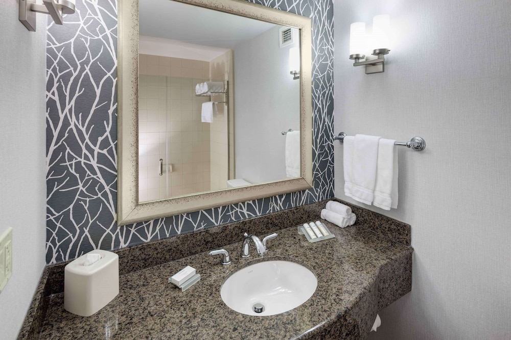 Hilton Garden Inn Detroit Novi - photo 19