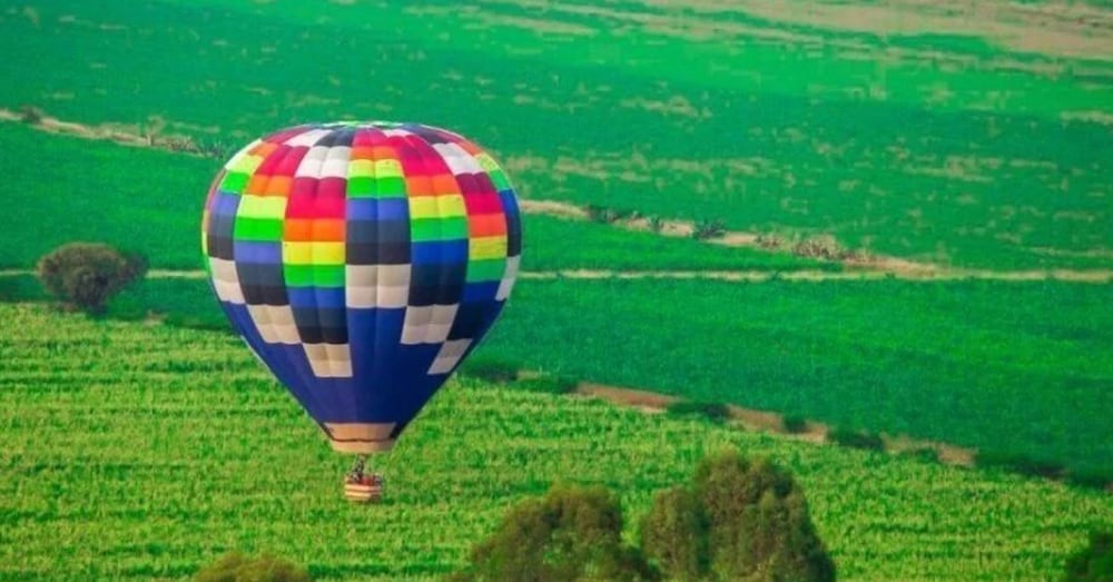 Helicopter/plane tours