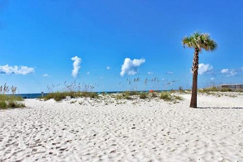 Ocean Reef 304 - photo 13