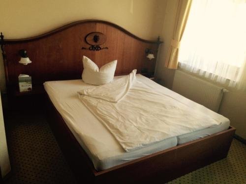 Hotel Goldner Löwe — Bad Koestritz — photo 2