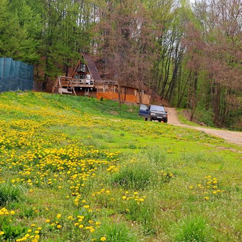 CabanaAframe intreaga proprietate in Curtea De Arges, Romania