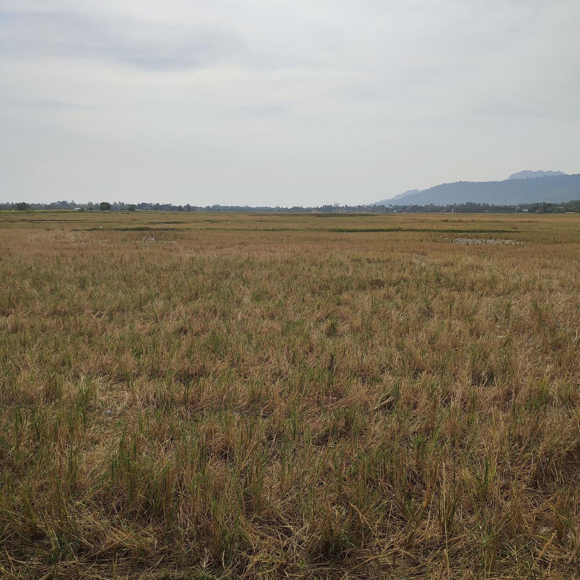 CasaBlu in Kuah, Malaysia