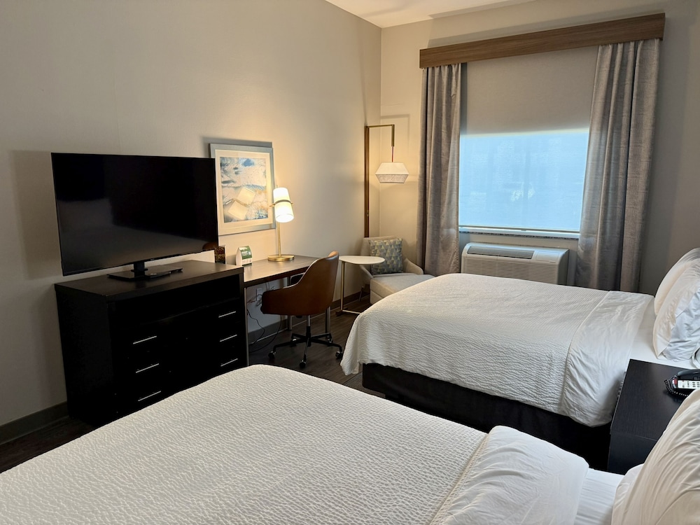 Holiday Inn Carlsbad by IHG - photo 15