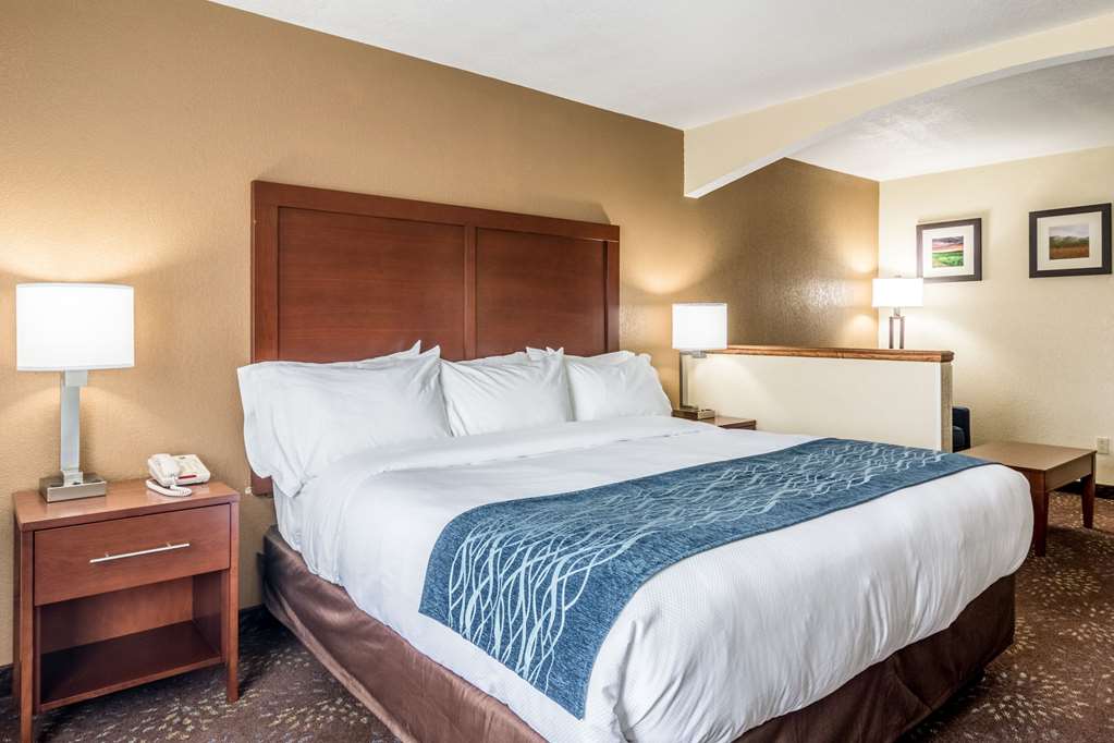 Comfort Inn & Suites Hannibal - photo 24