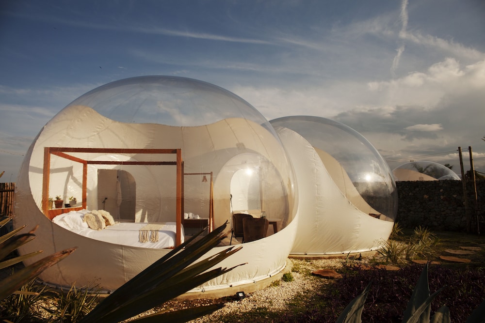 Green Land Bubble Glamping in Cabarete, Dominican Republic