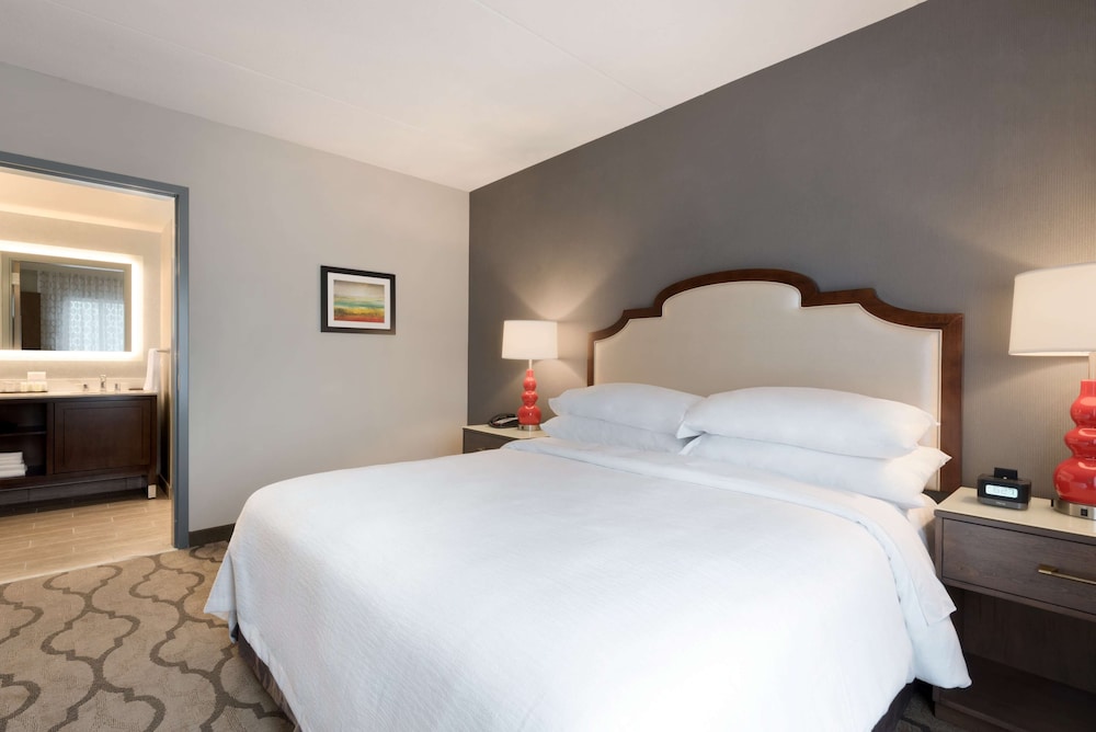 Embassy Suites by Hilton Chicago Naperville - photo 8