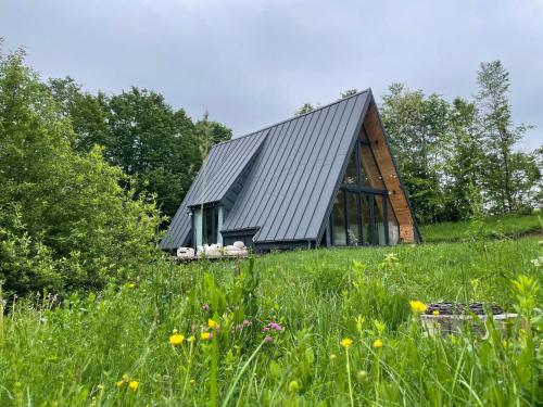 Cabana A frame Cricov 9 - last minute hotel in Valea Lunga Ogrea