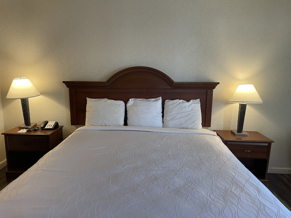 Sutter Inn - photo 10
