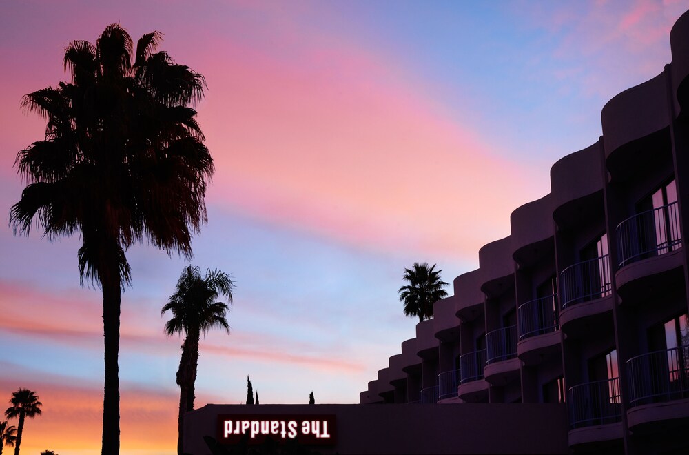 The Standard Hollywood - photo 44