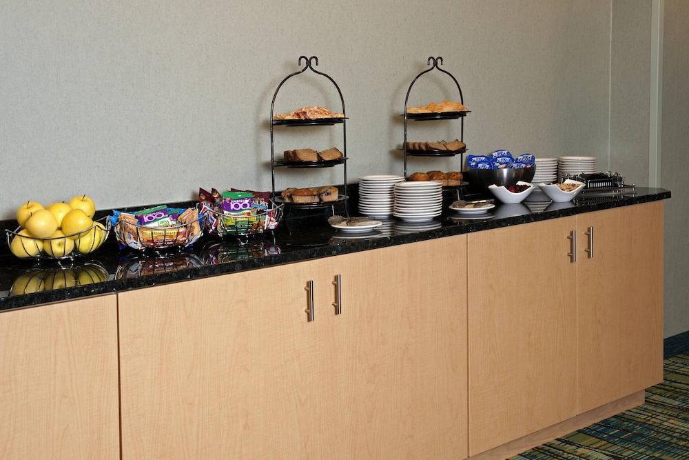 SpringHill Suites Chicago O'Hare by Marriott - photo 50