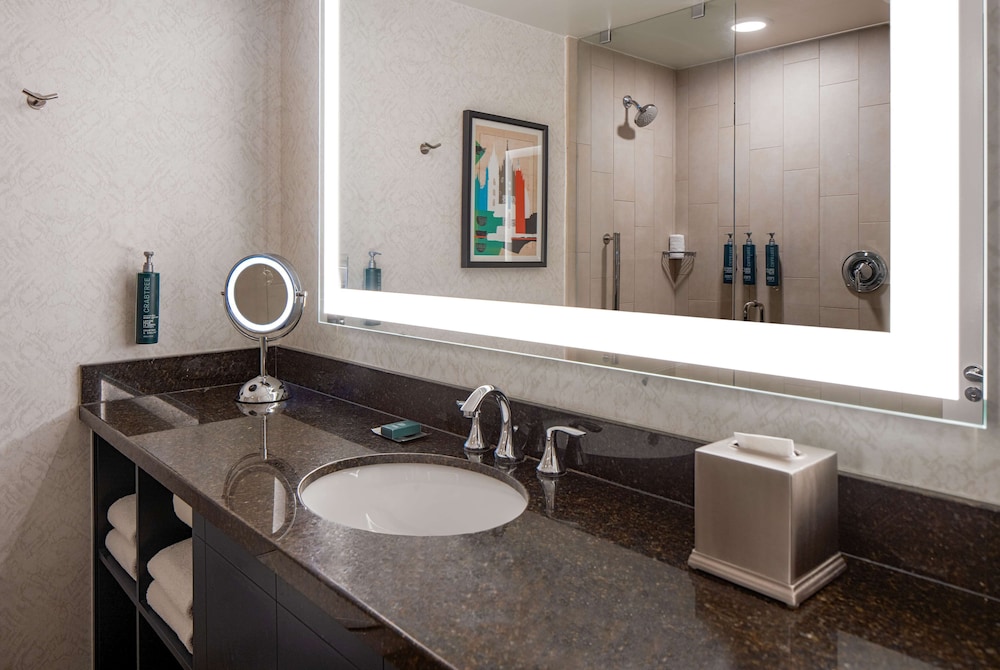 Doubletree Suites by Hilton Salt Lake City - photo 33