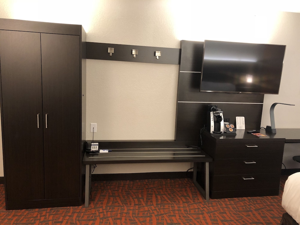 Holiday Inn Express Metropolis - photo 6