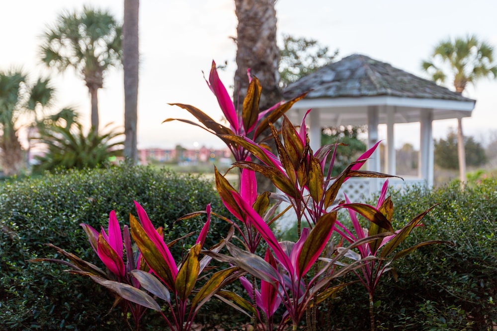Maingate Lakeside Resort - photo 45