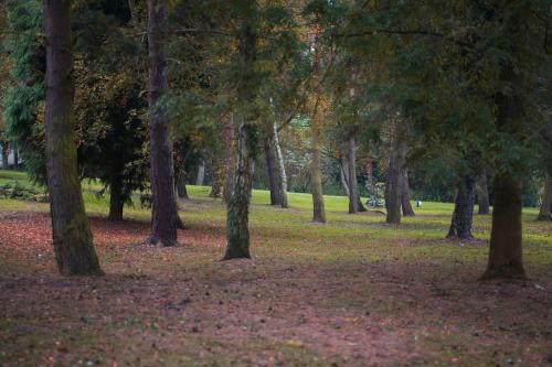 The Great Hallingbury Manor