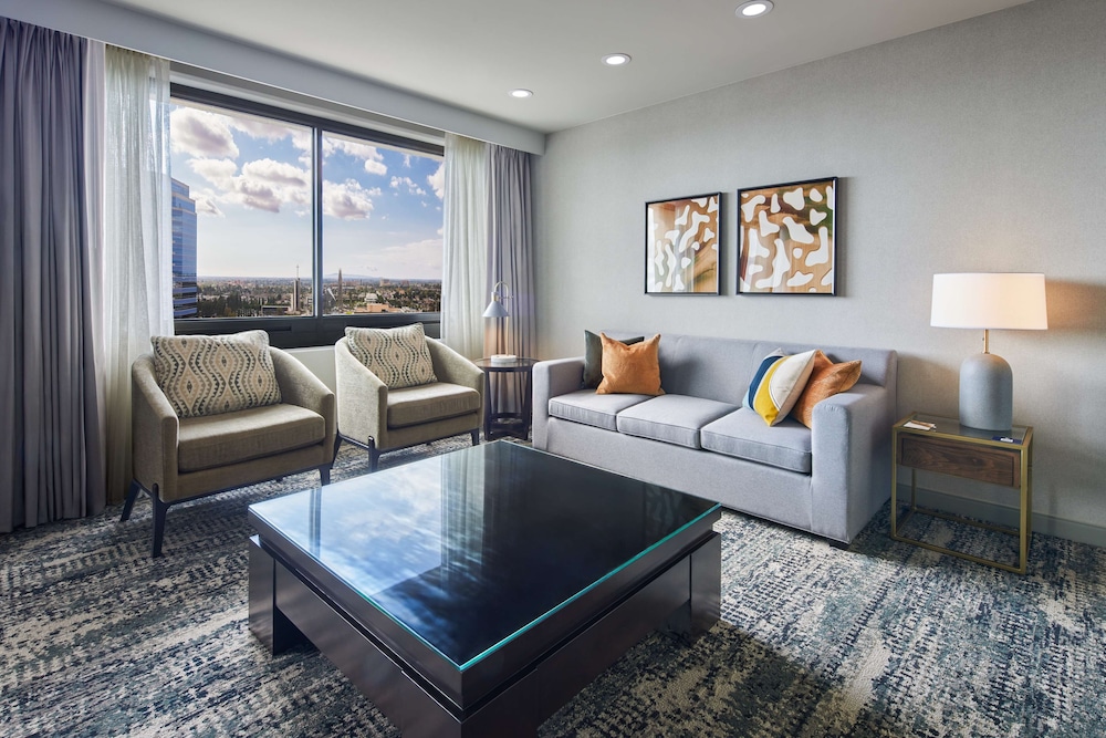 Hotel Fera Anaheim a DoubleTree by Hilton - photo 21