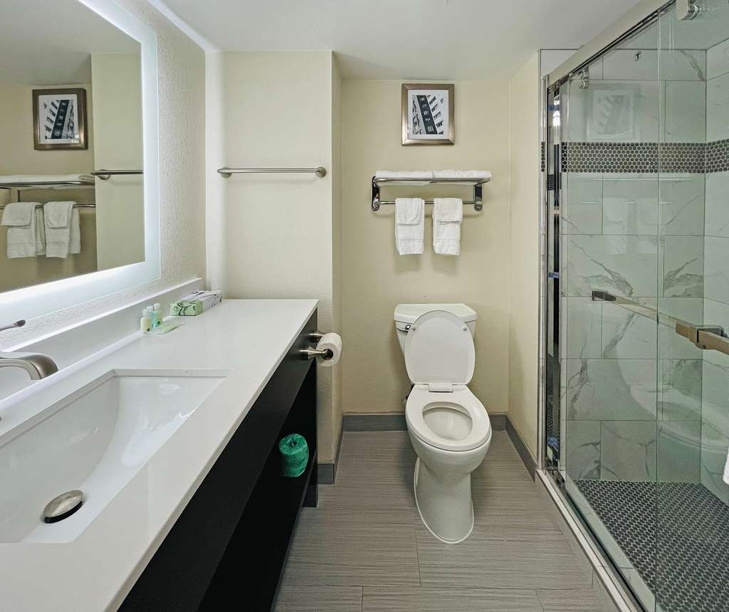 Quality Inn & Suites Lake Charles South - photo 24