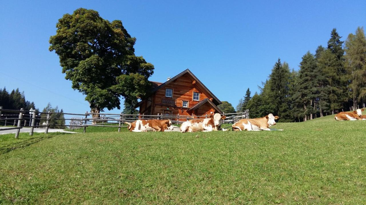 Ferienhaus Bichlhutte — 4-Star Luxury Hotel in Pruggern, Austria