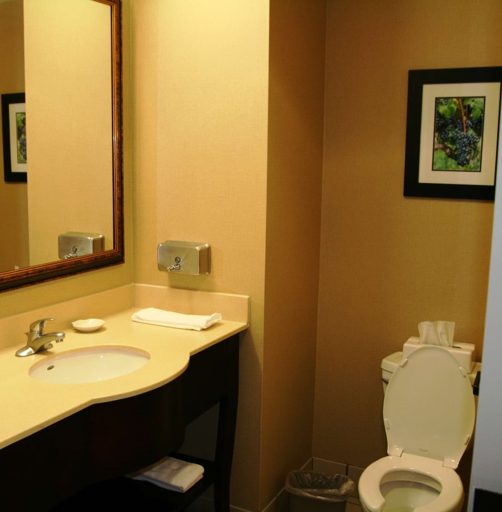 Hampton Inn Mount Airy - photo 45