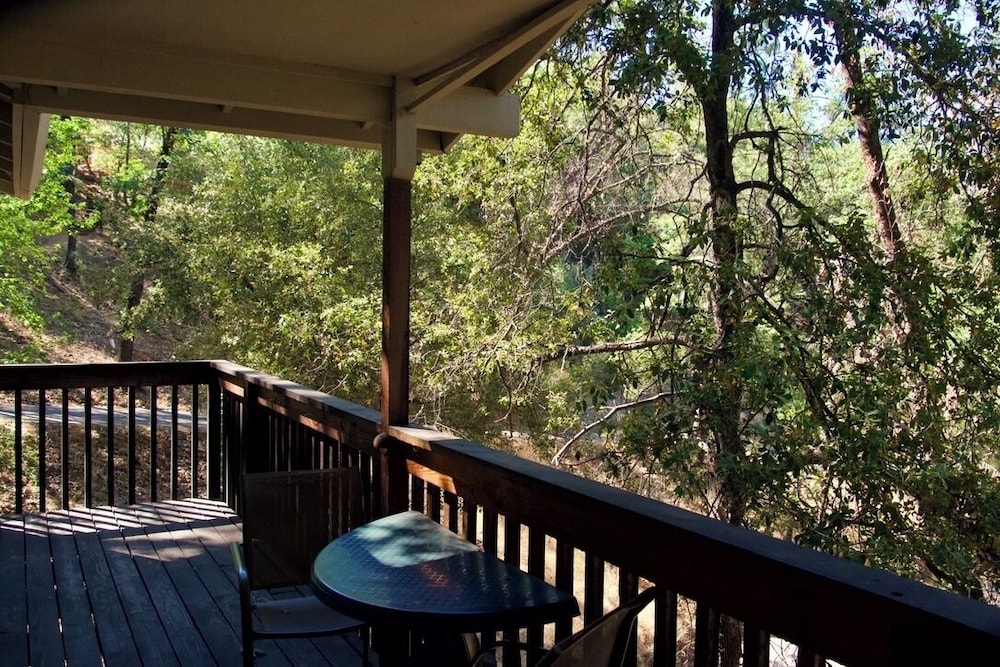 Yosemite Bug Rustic Mountain Resort - photo 64