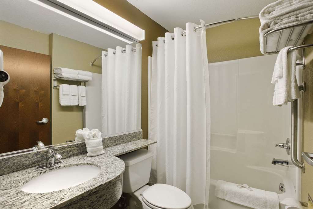 Microtel Inn & Suites by Wyndham Williston - photo 16