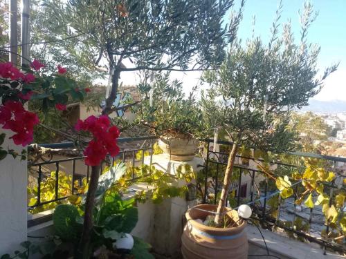 Nanny's Guest House in Plaka — 4-Star Luxury Hotel in Athens, Greece
