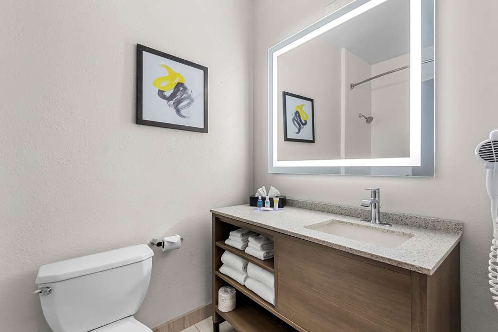 Comfort Suites Denver North Westminster - photo 10