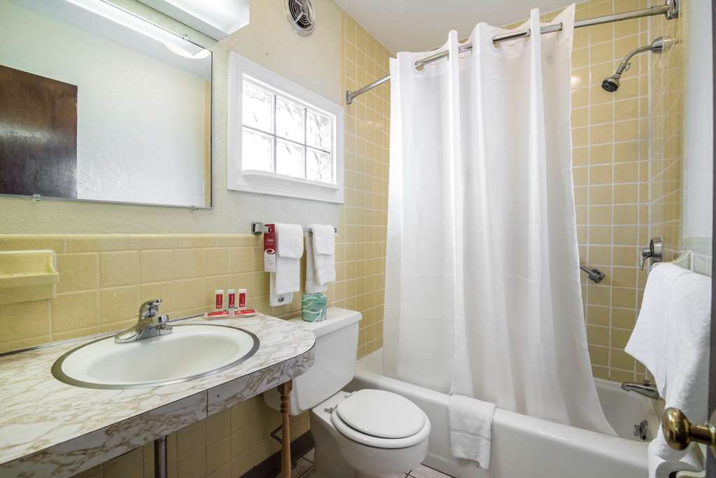 Econo Lodge Brattleboro South - photo 29