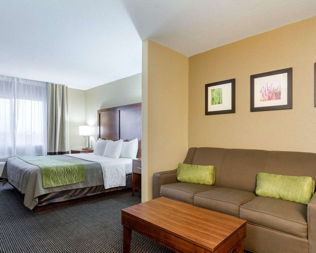Comfort Inn Garden City - photo 16
