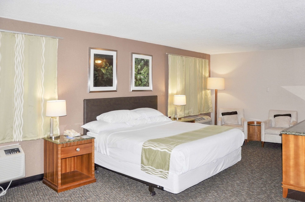 Bison Inn & Suites on University - photo 7
