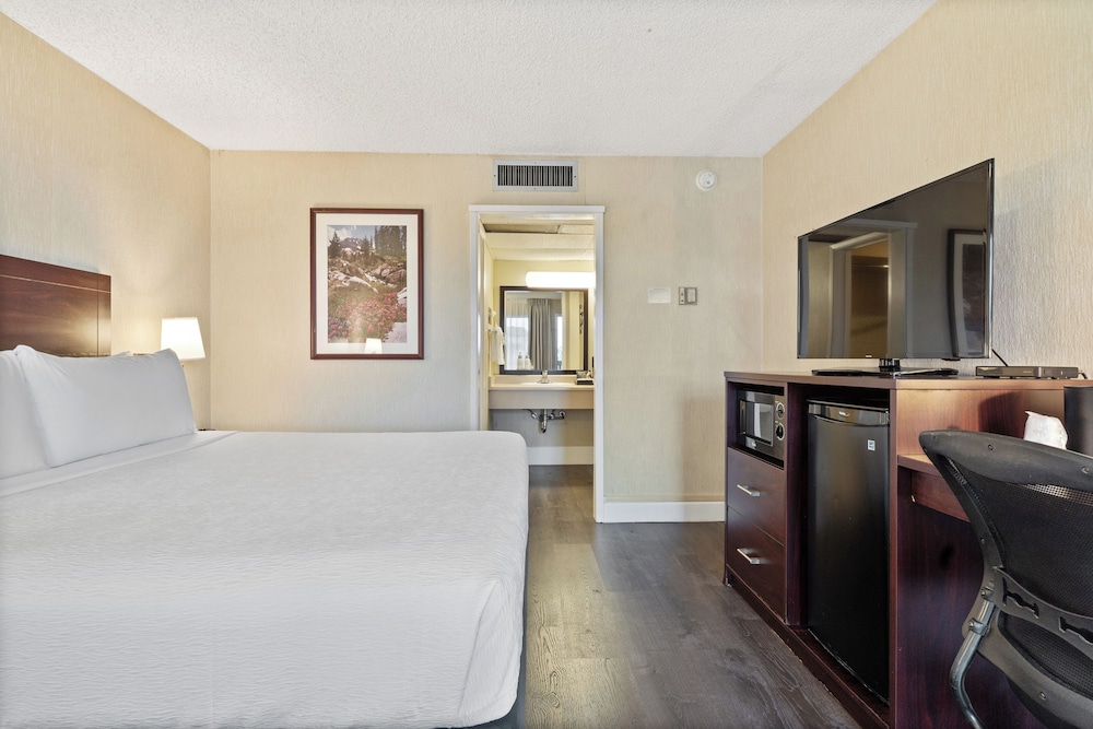 Vagabond Inn Executive San Francisco Airport - photo 22