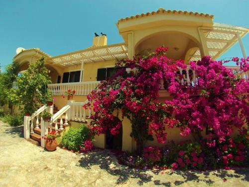 Appartamenti Angelika in Perdika, Greece