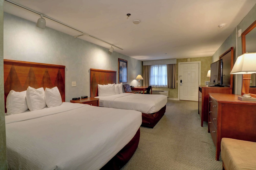 Senator Inn & Spa - photo 44