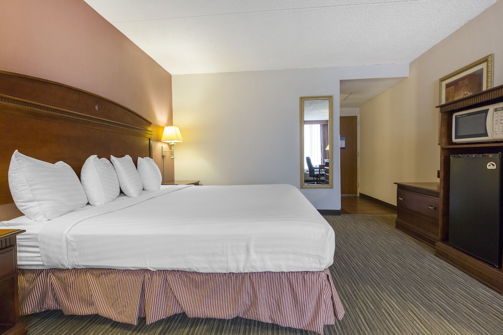 Greenstay Hotel & Suites - photo 20