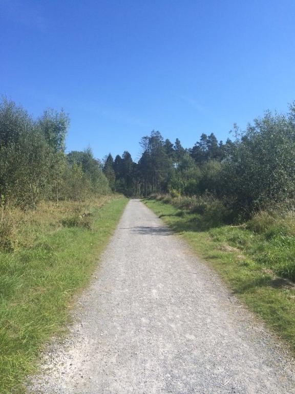 Oaklodge B&B — 4-Star Luxury Hotel in Portumna, Republic of Ireland