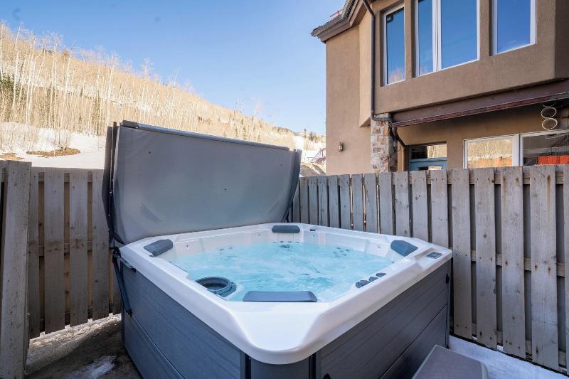Le Chamonix by Telluride Alpine Lodging - photo 4