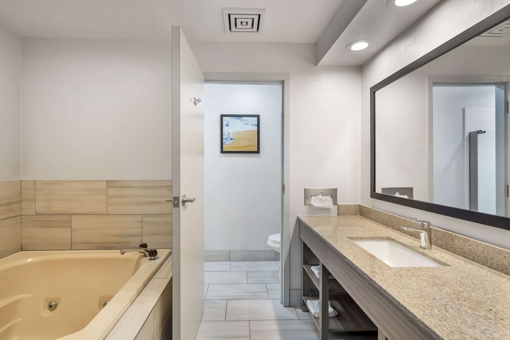 Comfort Inn & Suites Mundelein Vernon Hills - photo 11