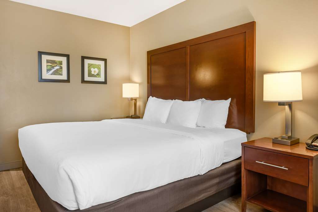 Comfort Inn & Suites at CrossPlex Village - photo 27