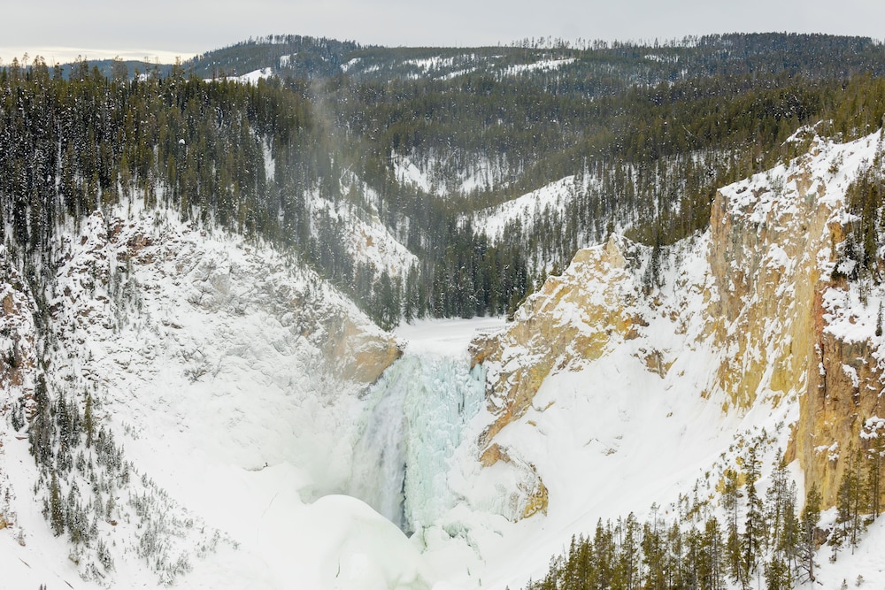 Explorer Cabins At Yellowstone - photo 37