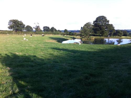 Crich Lane Farm — Alfreton — photo 2
