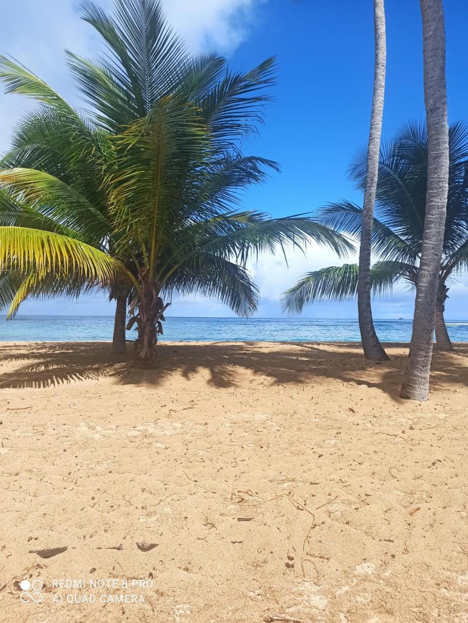 Appartement Alizé Vue Imprenable Sur La mer — 4-Star Luxury Hotel in Sainte-Luce, Martinique